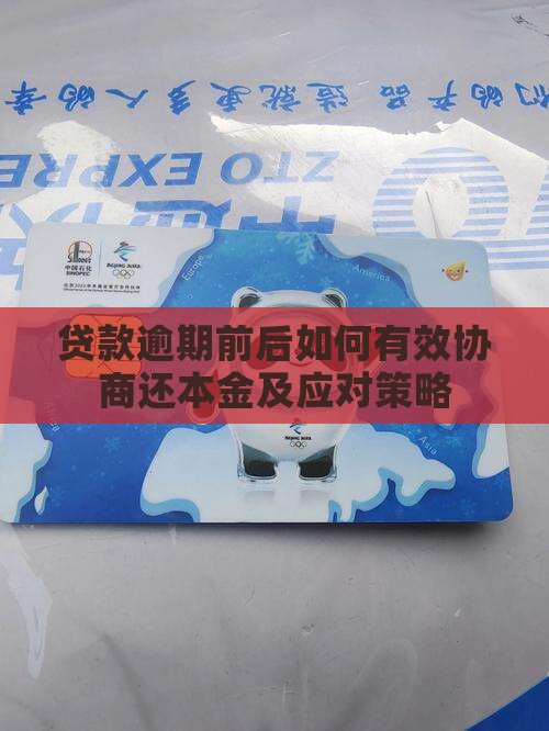 贷款逾期前后如何有效协商还本金及应对策略