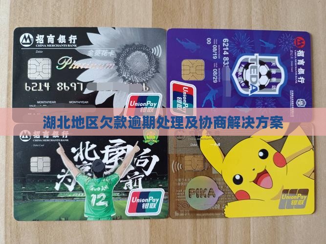 湖北地区欠款逾期处理及协商解决方案
