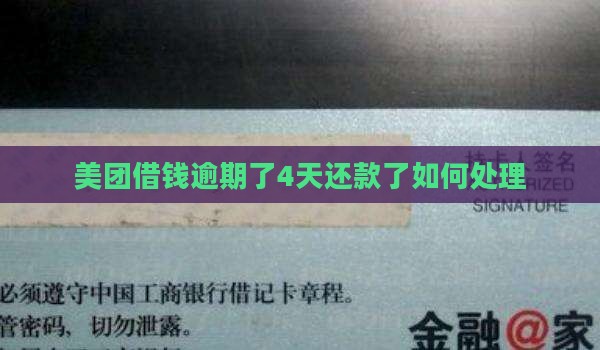 美团借钱逾期了4天还款了如何处理