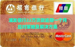 浦发银行22万贷款逾期一个月应对策略及解决方案