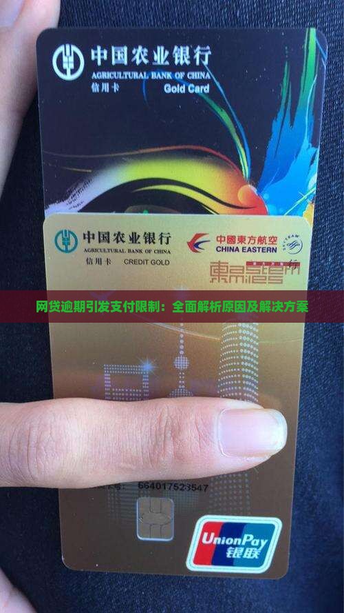 网贷逾期引发支付限制：全面解析原因及解决方案