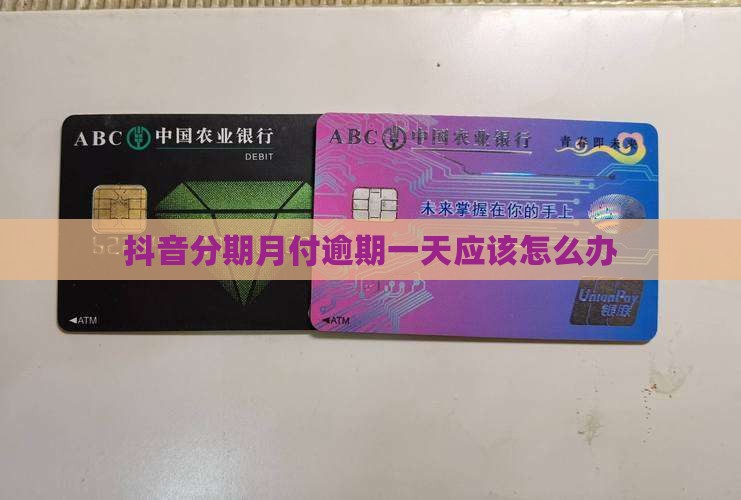 抖音分期月付逾期一天应该怎么办