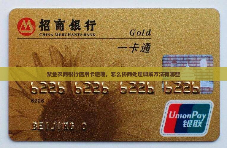 紫金农商银行信用卡逾期，怎么协商处理调解方法有哪些