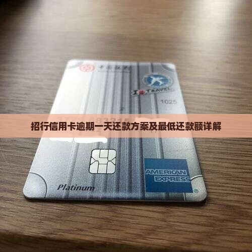 招行信用卡逾期一天还款方案及最低还款额详解