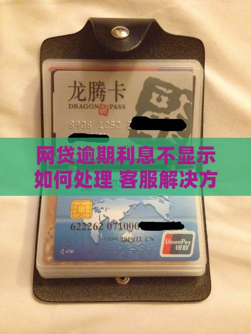 网贷逾期利息不显示如何处理 客服解决方法