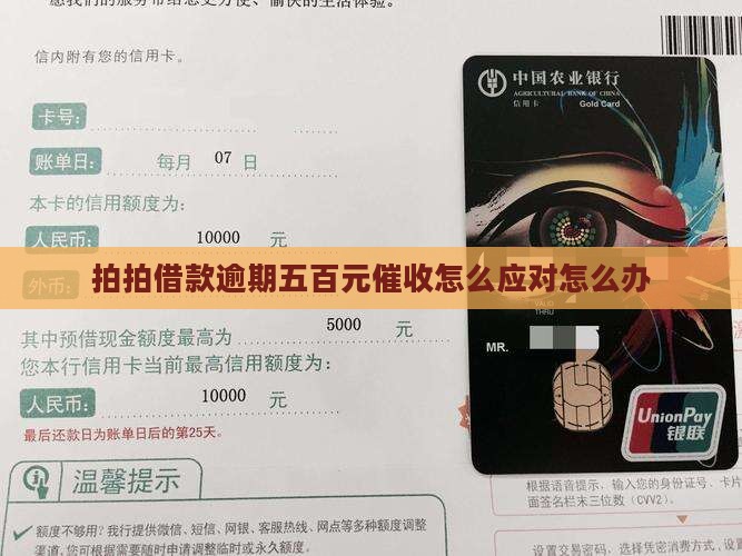 拍拍借款逾期五百元催收怎么应对怎么办