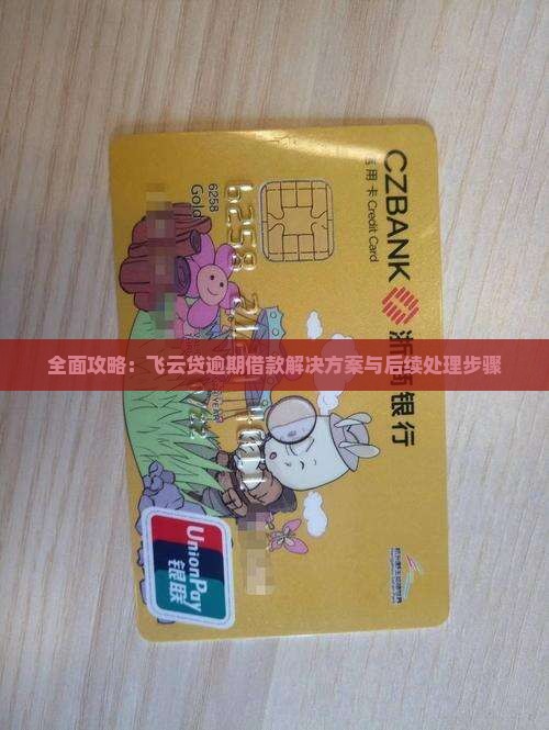 全面攻略：飞云贷逾期借款解决方案与后续处理步骤