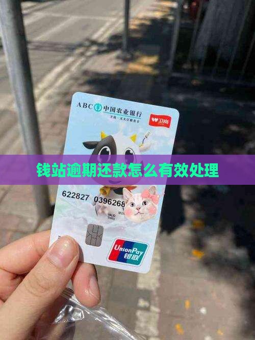 钱站逾期还款怎么有效处理