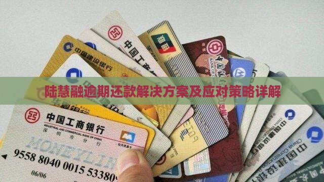 陆慧融逾期还款解决方案及应对策略详解
