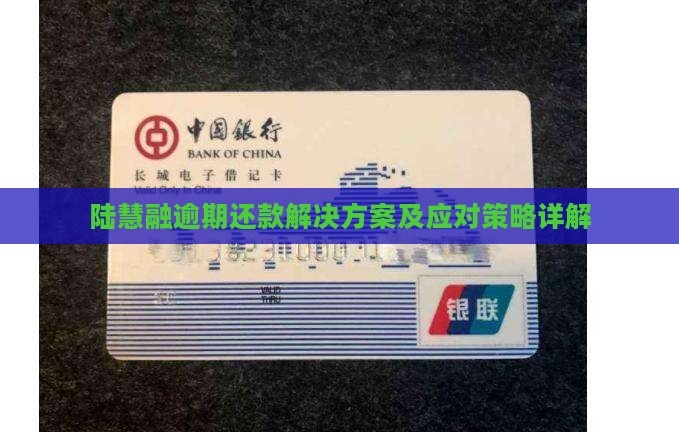 陆慧融逾期还款解决方案及应对策略详解
