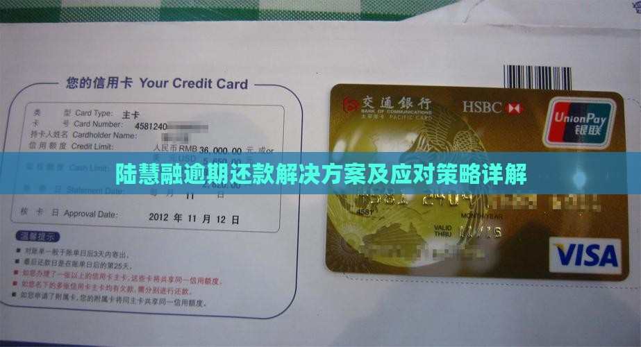 陆慧融逾期还款解决方案及应对策略详解