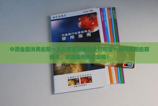 中原金融消费逾期一天后的处罚和规定