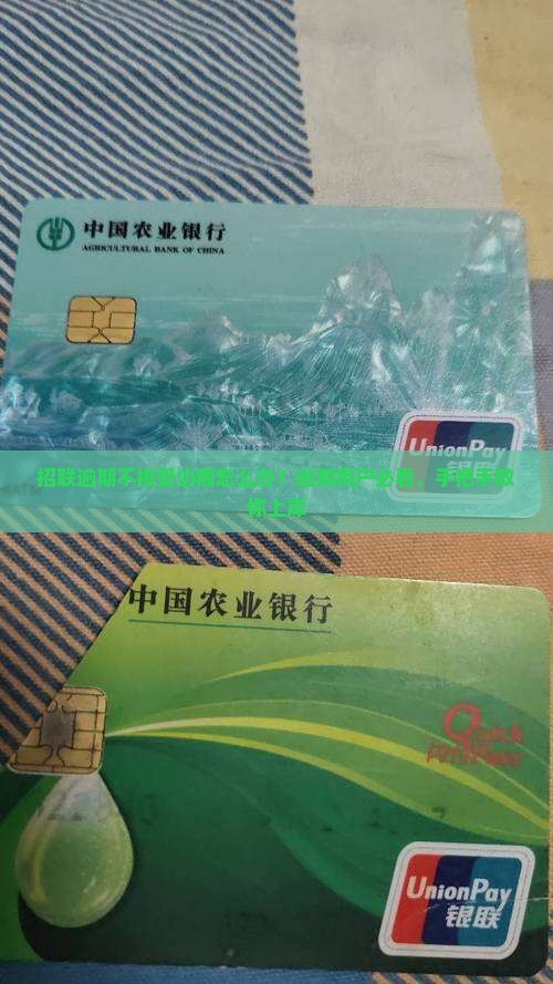 招联逾期不接受协商怎么办