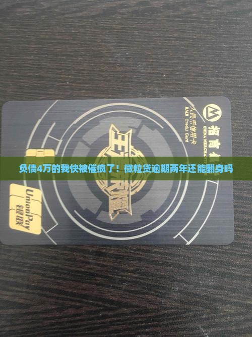 欠微粒贷4万逾期两年怎么办