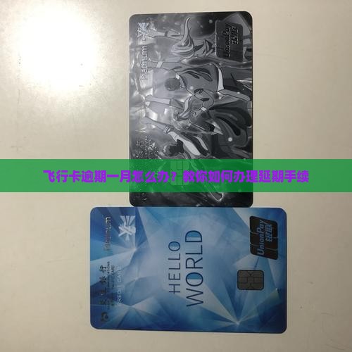 飞行卡逾期一月怎么办理延期手续