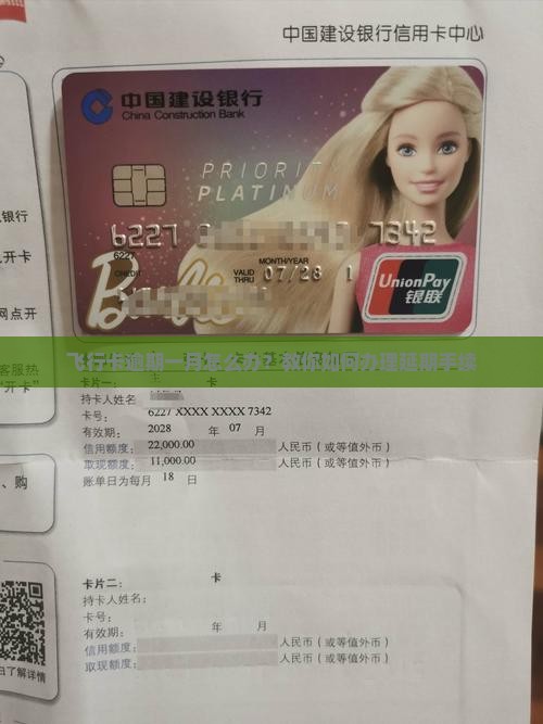 飞行卡逾期一月怎么办理延期手续