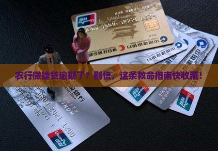农业银行微捷贷逾期怎么办