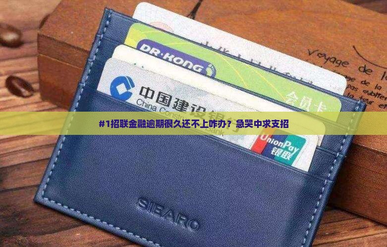 招联金融逾期很久怎么办