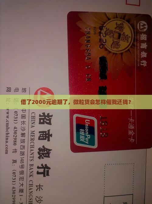 微粒贷2000元逾期怎么办