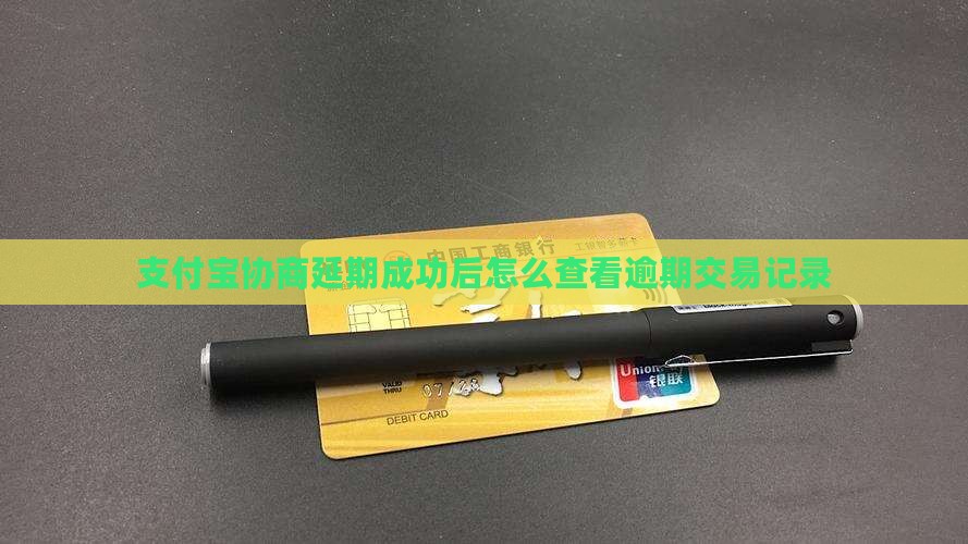 支付宝协商延期成功后在哪查看交易记录