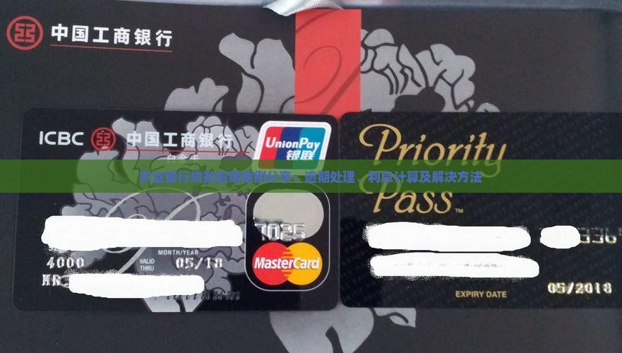 农业银行贷款逾期案例分享 农业银行贷款逾期案例分享