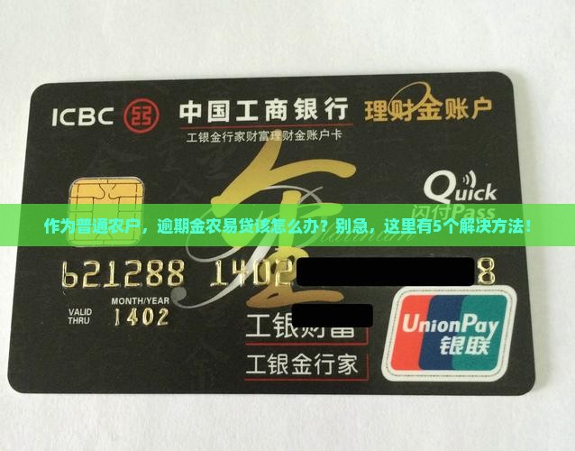 金农易贷逾期会怎样处理