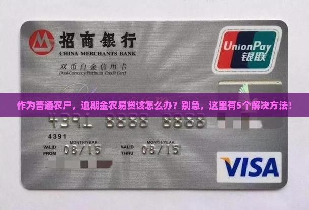 金农易贷逾期会怎样处理