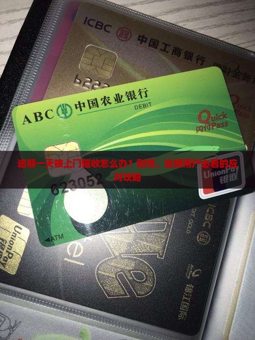 逾期一天被上门催收怎么办