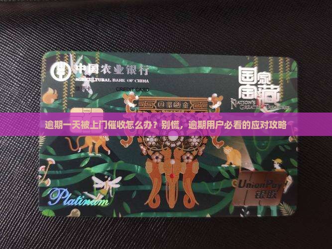 逾期一天被上门催收怎么办