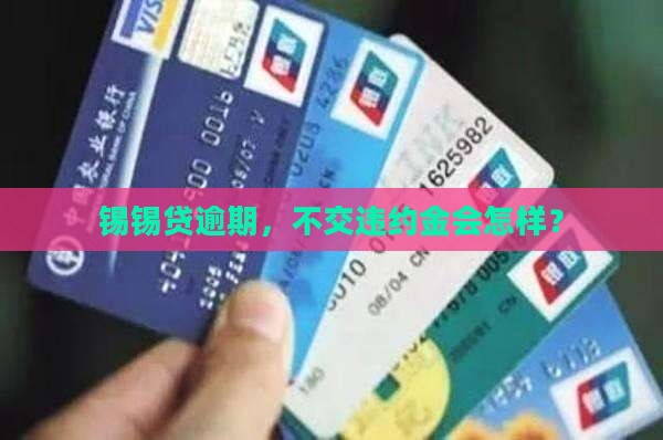 锡锡贷逾期违约金