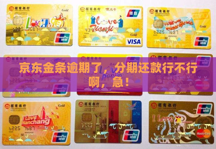 京东金条逾期能不能分期
