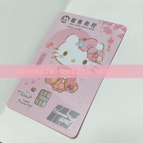芸豆借款逾期该如何处理