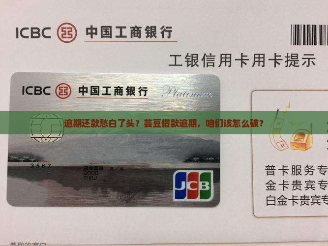 芸豆借款逾期该如何处理