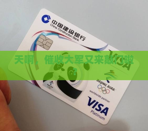 催收的又开始了