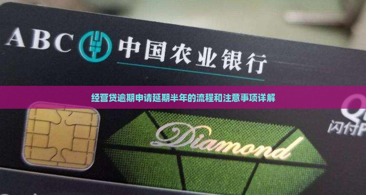 经营贷逾期申请延期半年的流程和注意事项