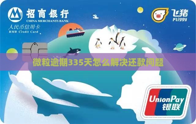 微粒贷逾期335天如何解决还款问题