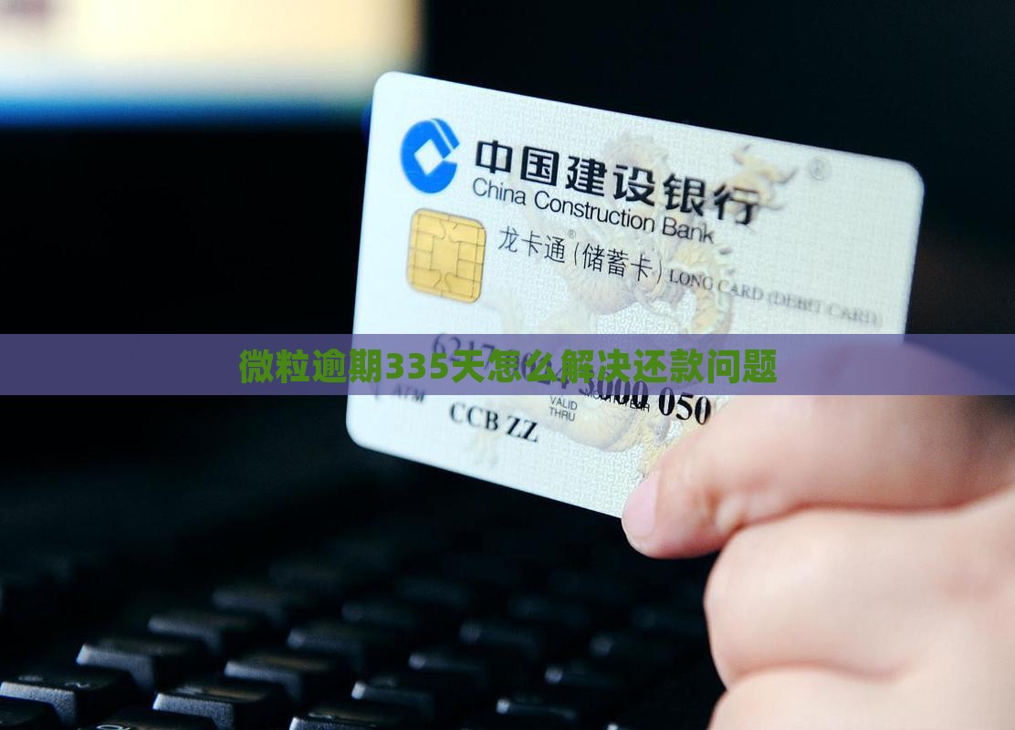 微粒贷逾期335天如何解决还款问题