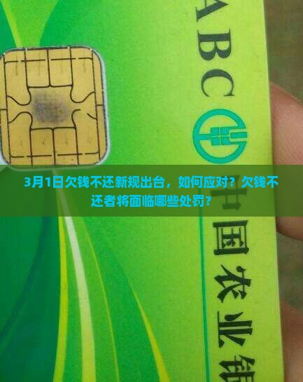 3月1日欠钱不还新规怎么处理