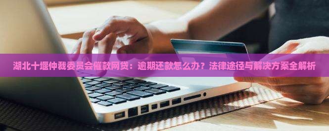 湖北十堰仲裁委员会要求我还网贷款款项