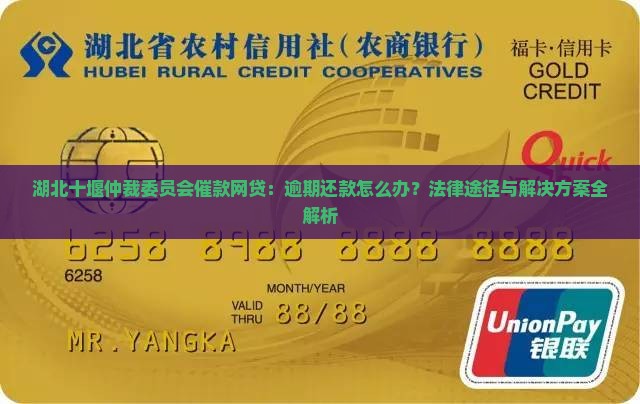 湖北十堰仲裁委员会要求我还网贷款款项