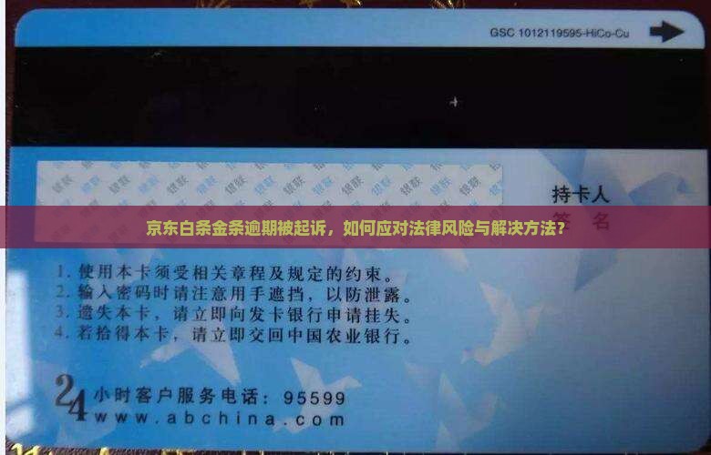 京东白条金条逾期起诉我了