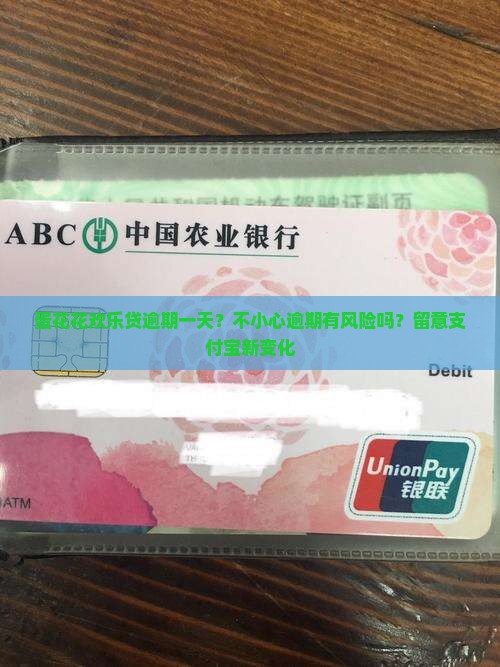 蛋花花欢乐贷逾期一天