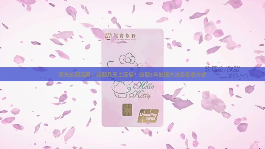 阳光逾期后果