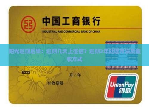 阳光逾期后果
