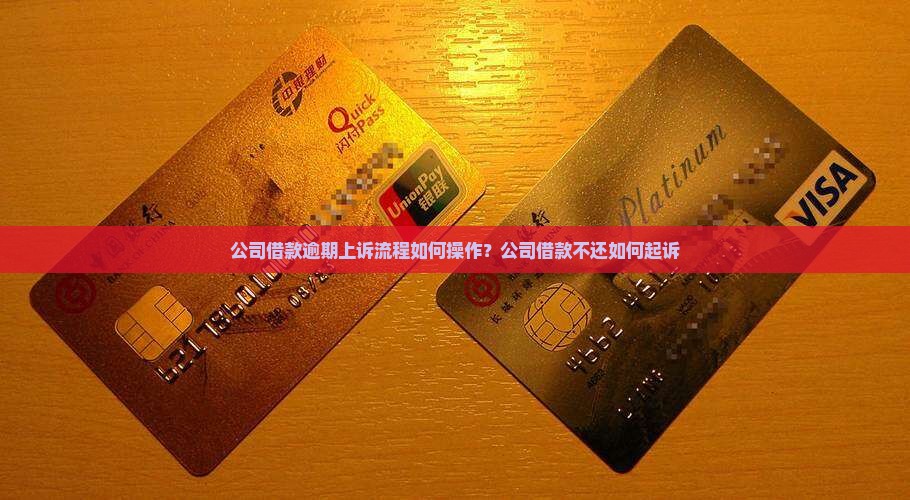 公司借款逾期上诉流程如何操作