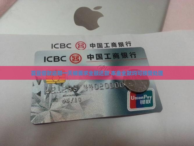 芸豆借款逾期一天要求全额还款可以还本金