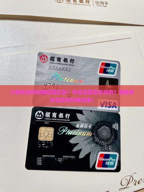 小橙花协商延期还款