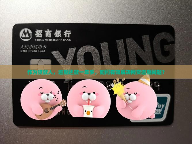 各种网贷逾期一年多怎么应对