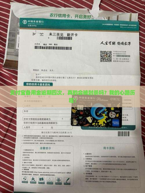 支付宝备用金逾期四次会有什么后果