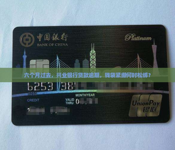 兴业银行贷款逾期六月